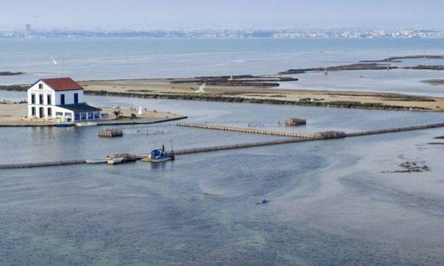 Nueva construcción  - Villa - San Pedro del Pinatar - Centro