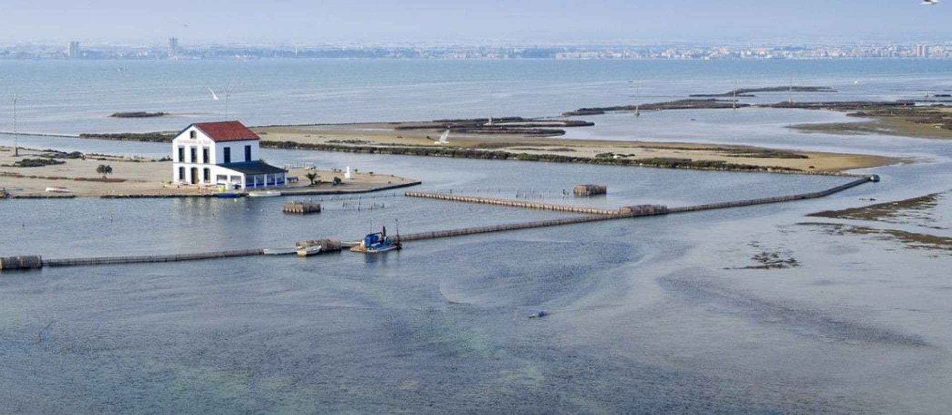 Nueva construcción  - Villa - San Pedro del Pinatar - Centro