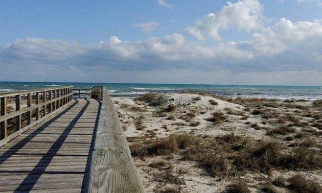 Nueva construcción  - Villa - San Pedro del Pinatar - Centro