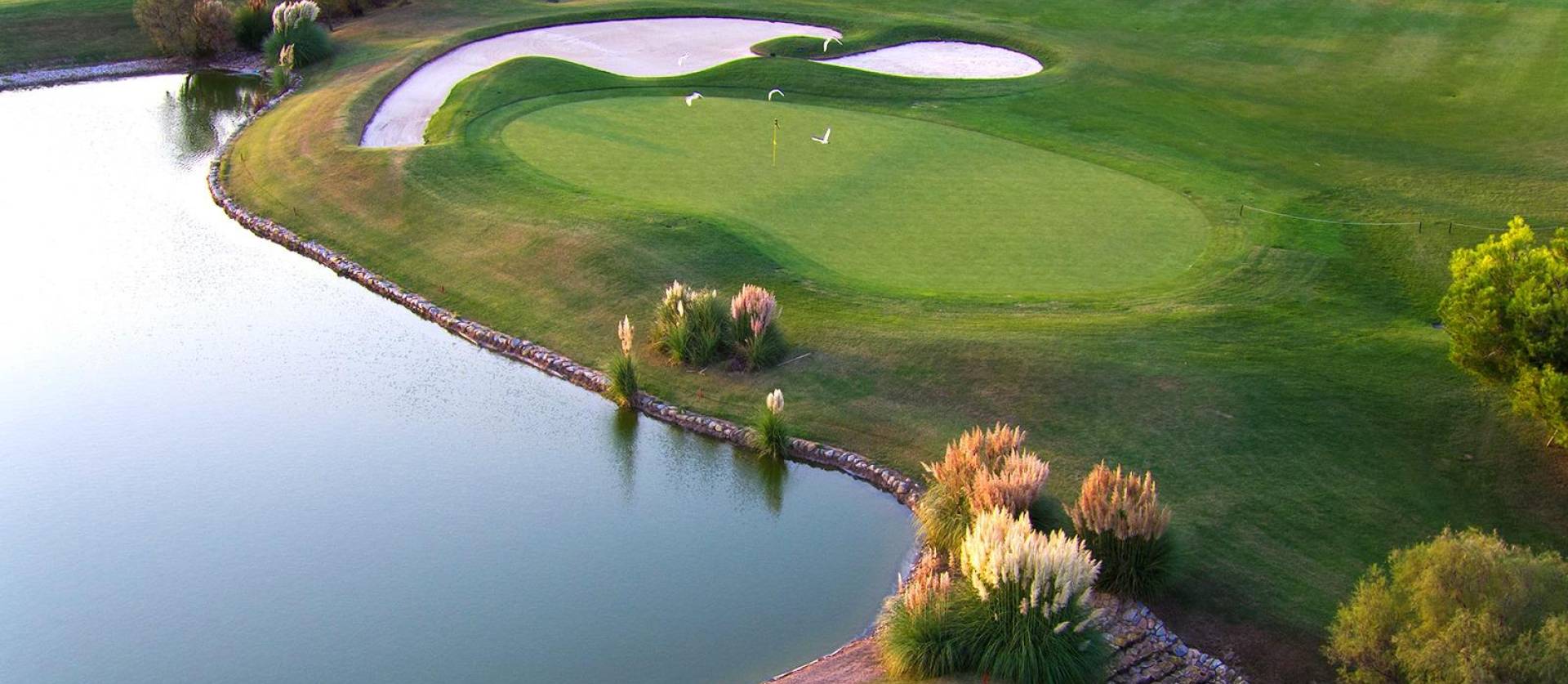 New Build - Villa - Pilar de la Horadada