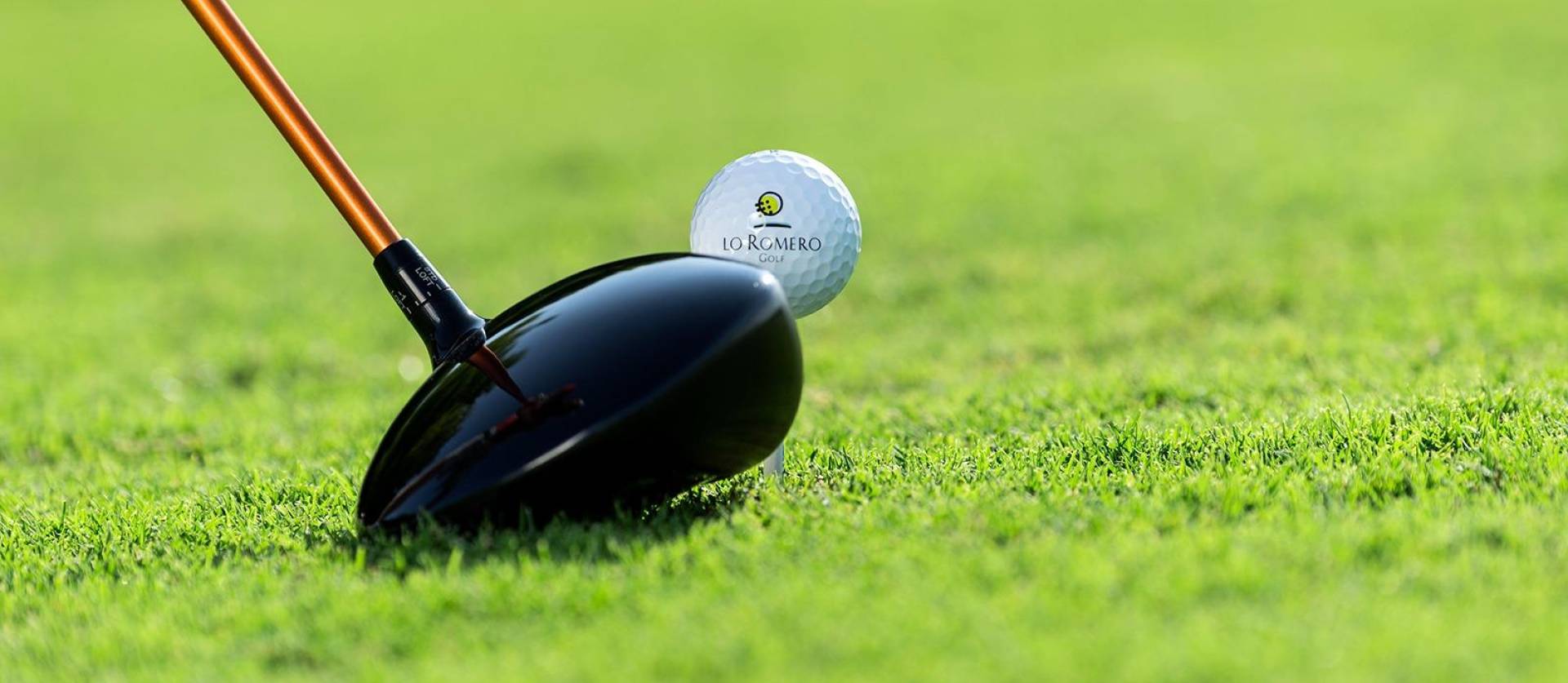 New Build - Villa - Pilar de la Horadada