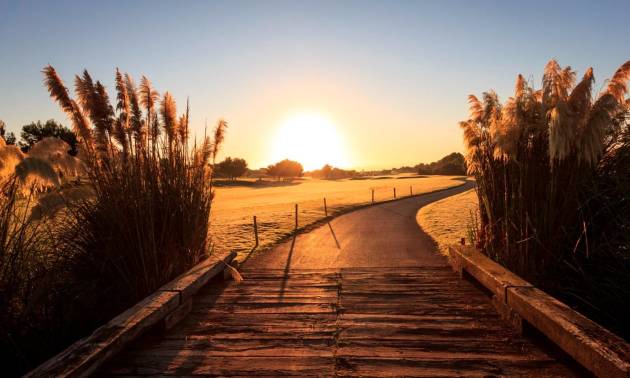 New Build - Villa - Pilar de la Horadada