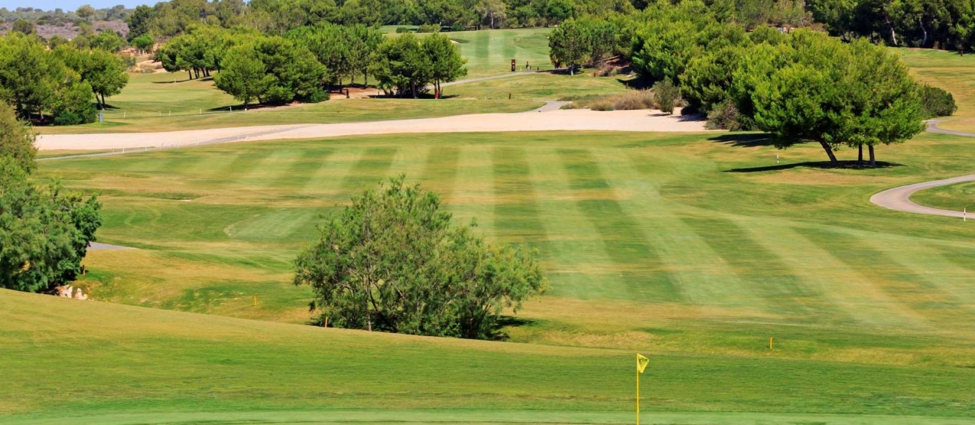 New Build - Villa - Pilar de la Horadada