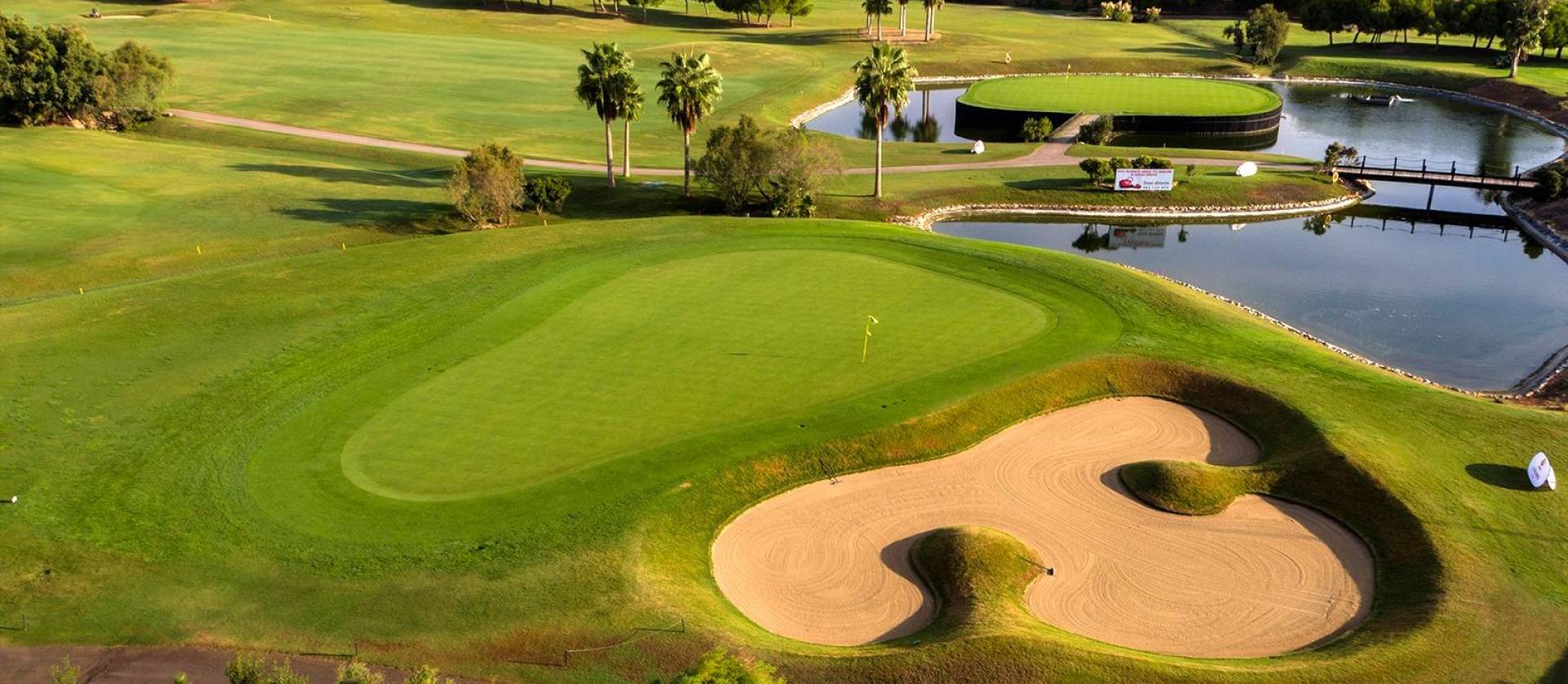 New Build - Villa - Pilar de la Horadada