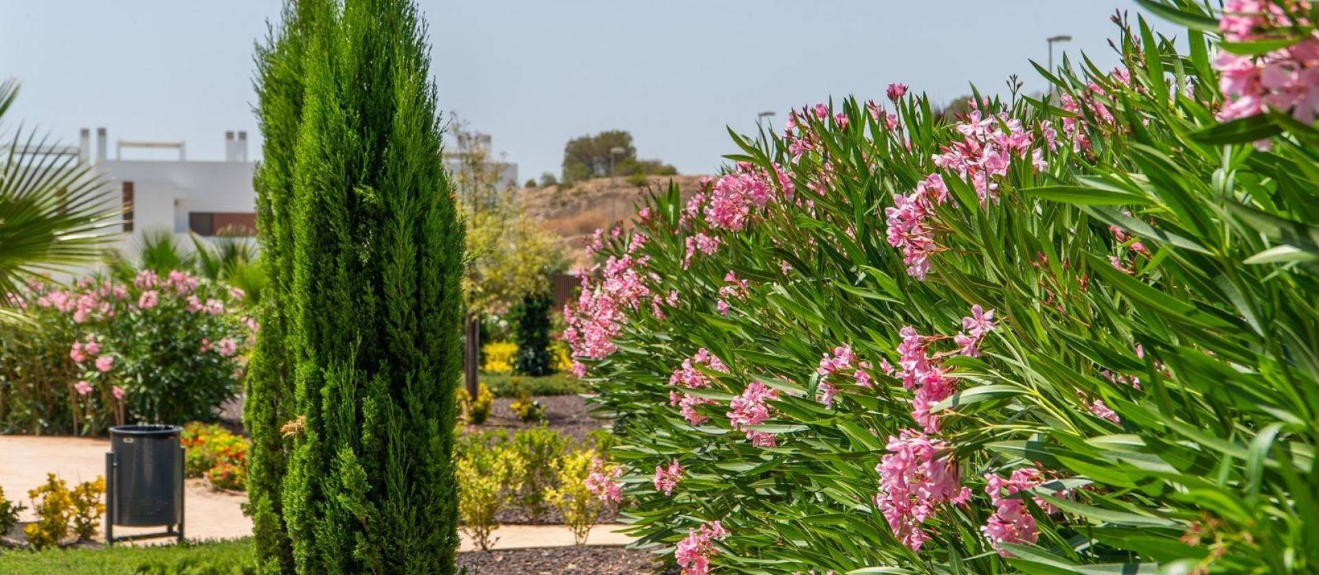 Nueva construcción  -  - Orihuela - Vistabella Golf