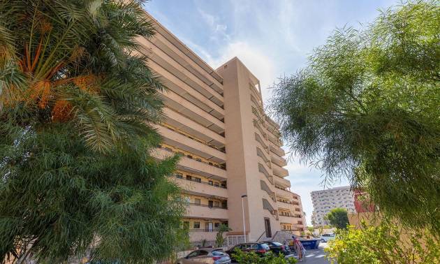 Venta - Apartment - Torrevieja - La Mata
