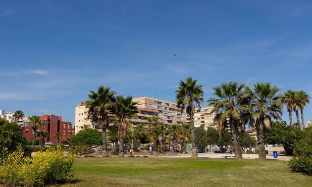 Venta - Apartment - Torrevieja - La Mata