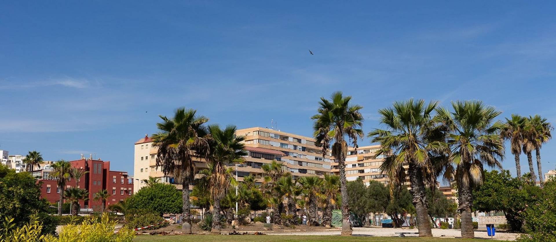 Venta - Apartment - Torrevieja - La Mata