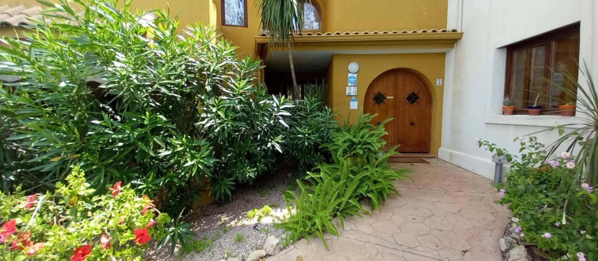 Revente - Apartment - Punta Prima