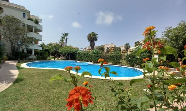 Revente - Apartment - Punta Prima