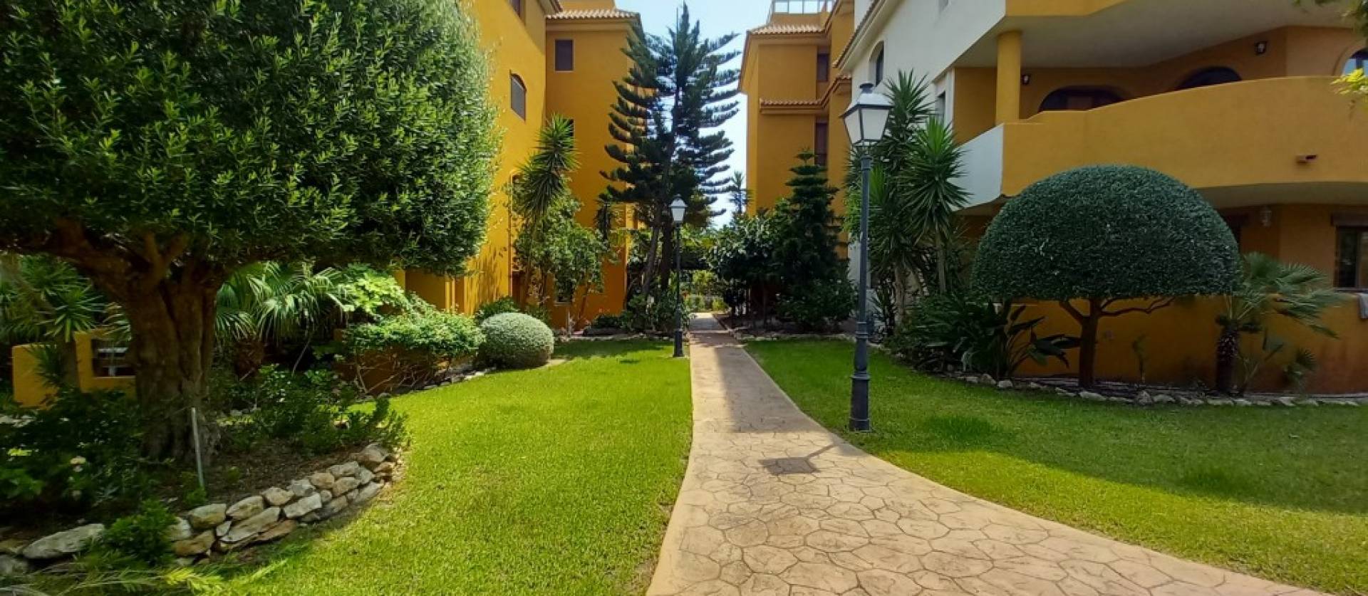 Revente - Apartment - Punta Prima