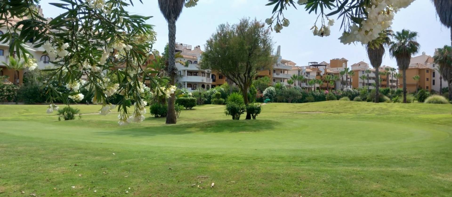 Revente - Apartment - Punta Prima