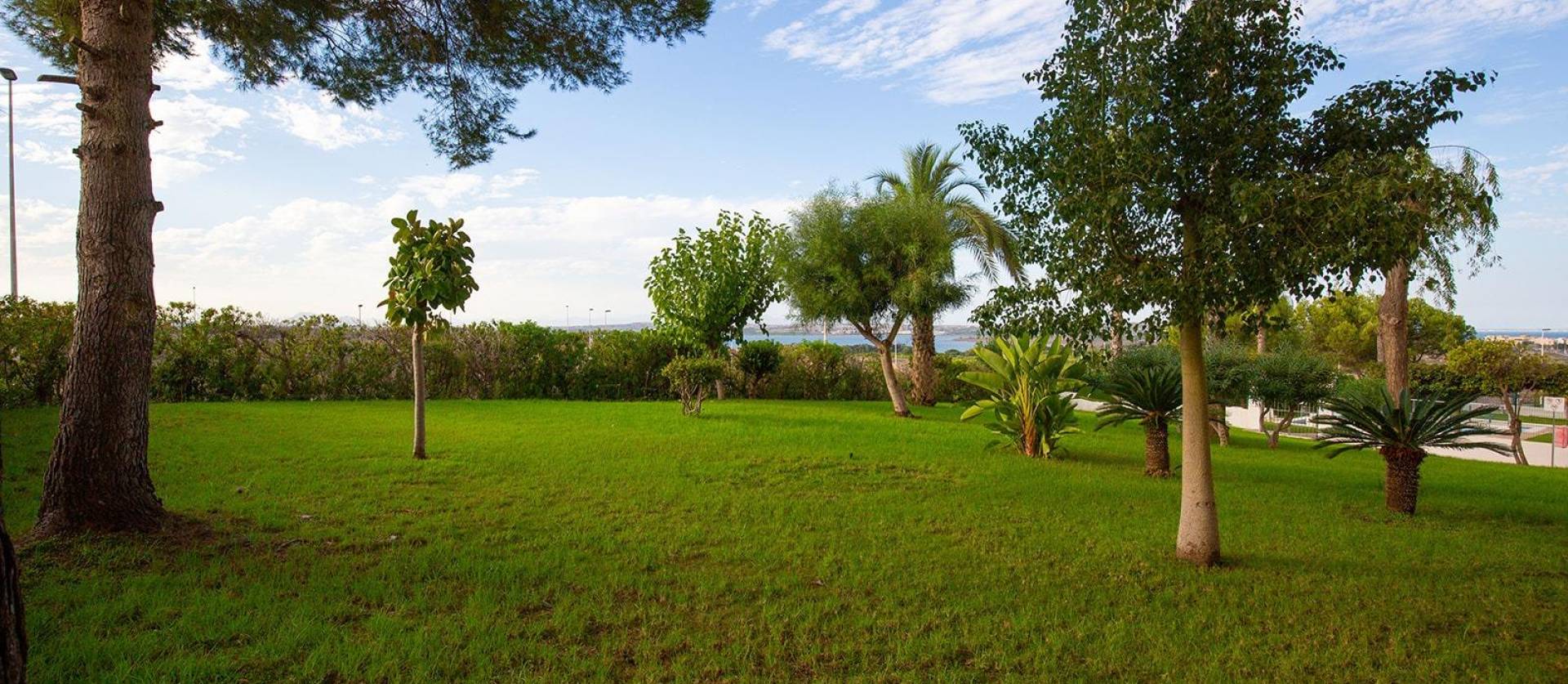 Venta - Apartment - Torrevieja - Torreblanca