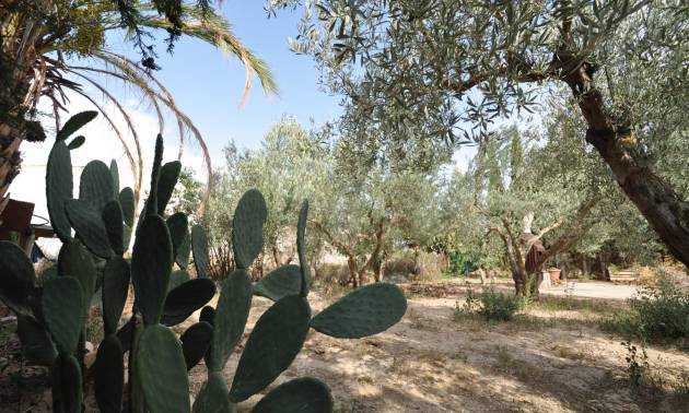 Bestaande woningen - Landelijk huis - Pinoso