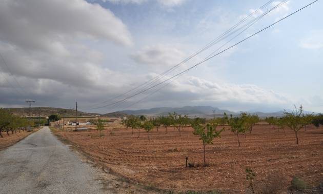 Bestaande woningen - Landelijk huis - Pinoso
