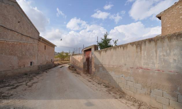 Bestaande woningen - Landelijk huis - Pinoso