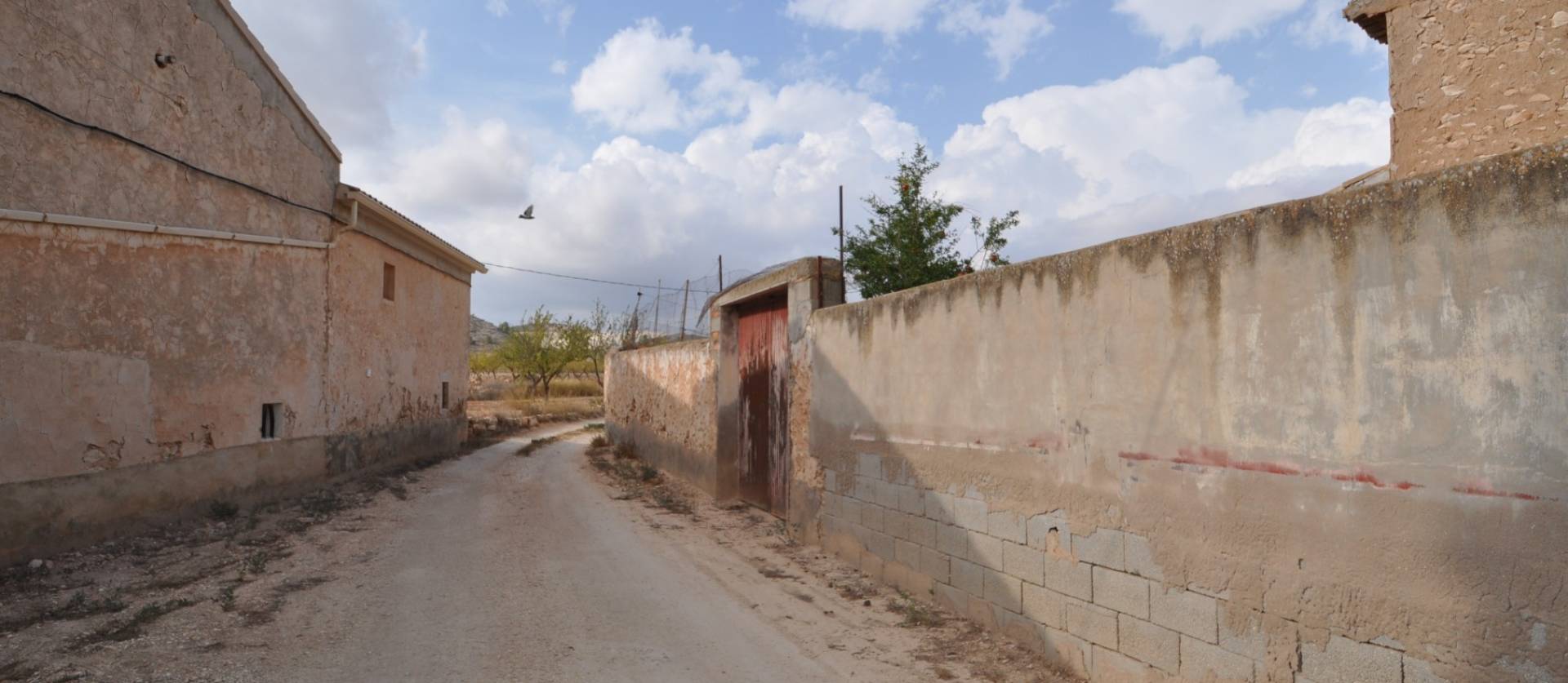 Bestaande woningen - Landelijk huis - Pinoso