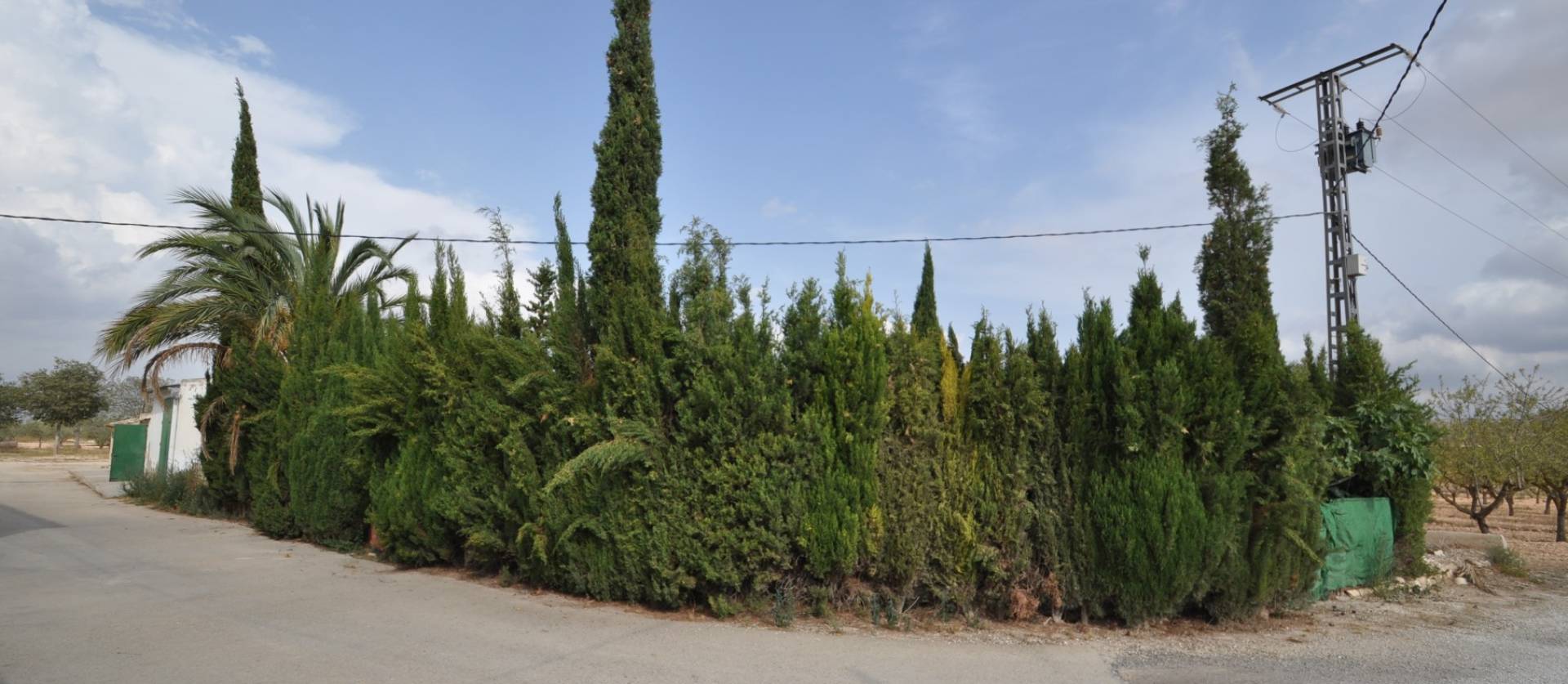 Bestaande woningen - Landelijk huis - Pinoso