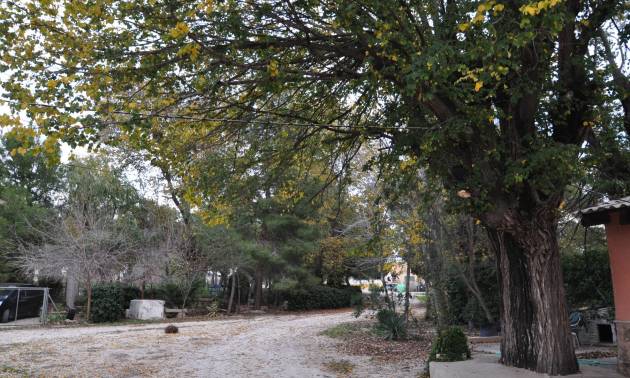 Revente - Maison de ville - Pinoso