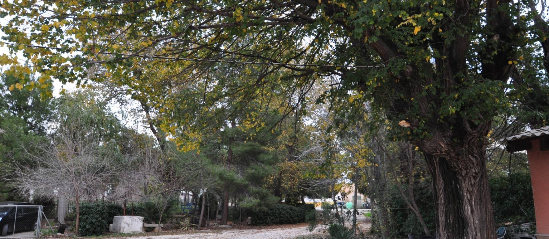 Revente - Maison de ville - Pinoso