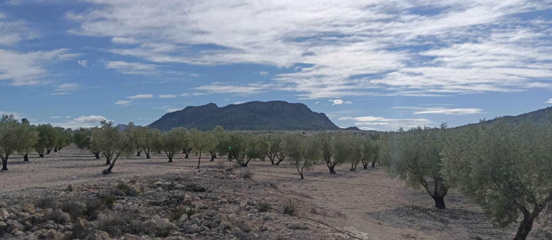 Revente - Land - Salinas