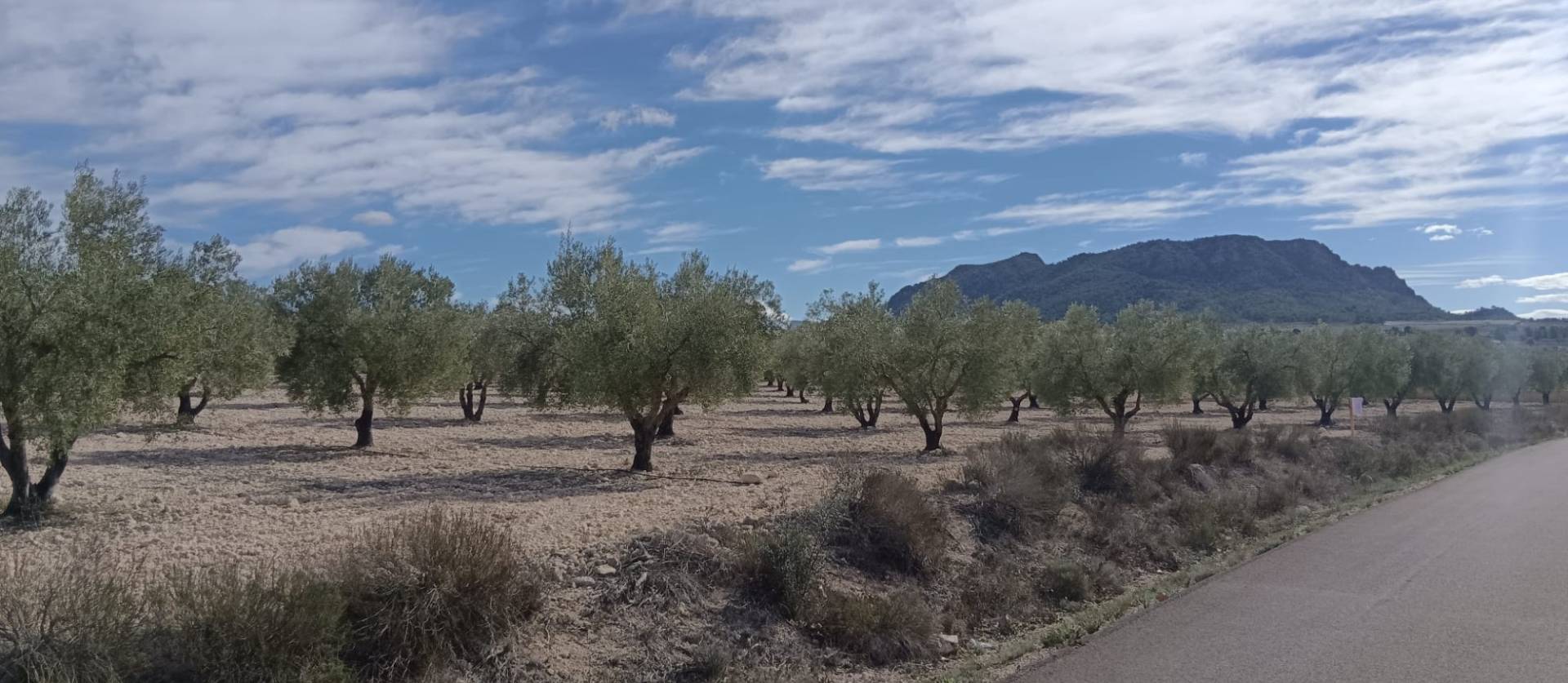 Revente - Land - Salinas