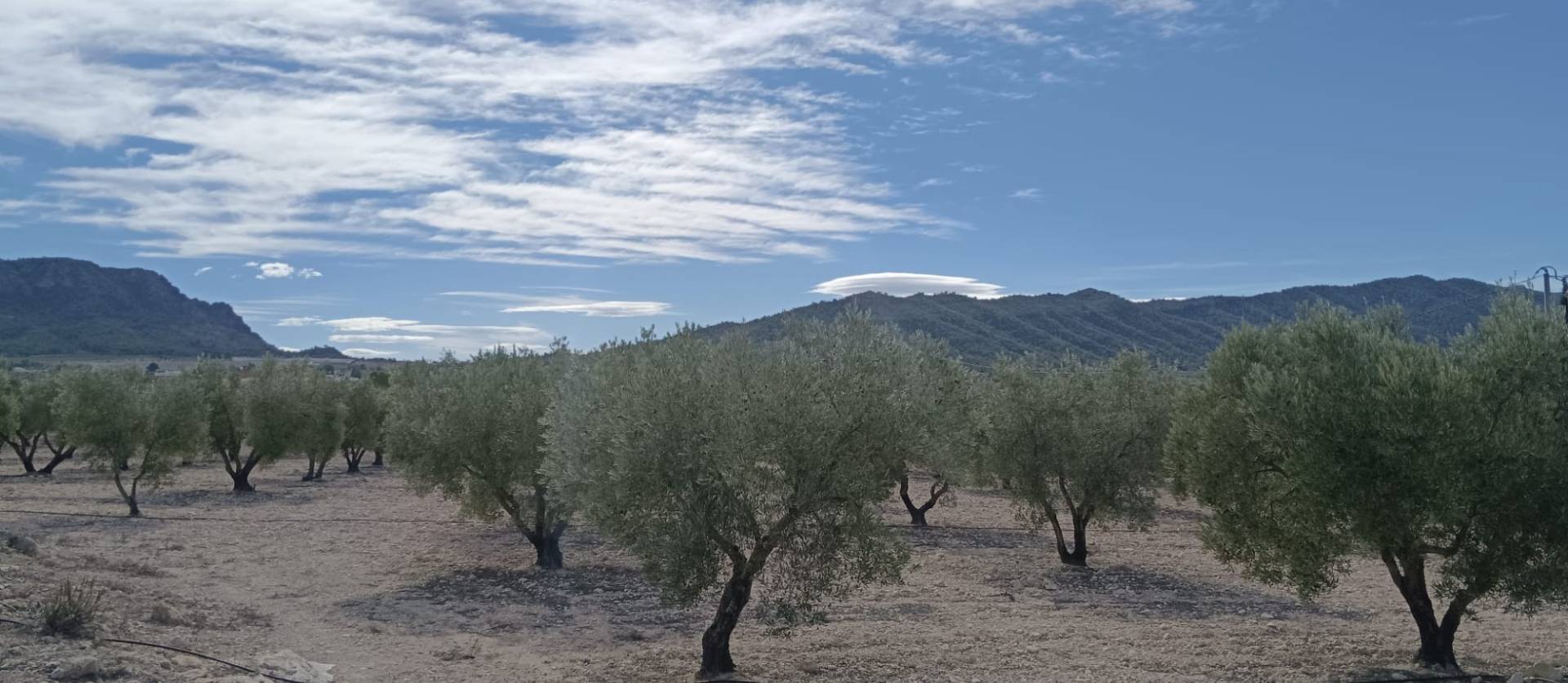 Revente - Land - Salinas