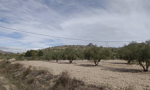 Revente - Land - Salinas