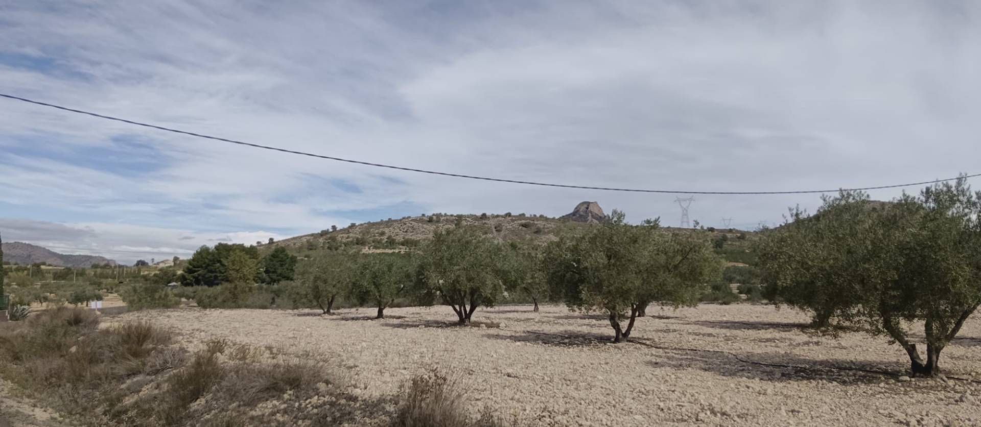 Revente - Land - Salinas