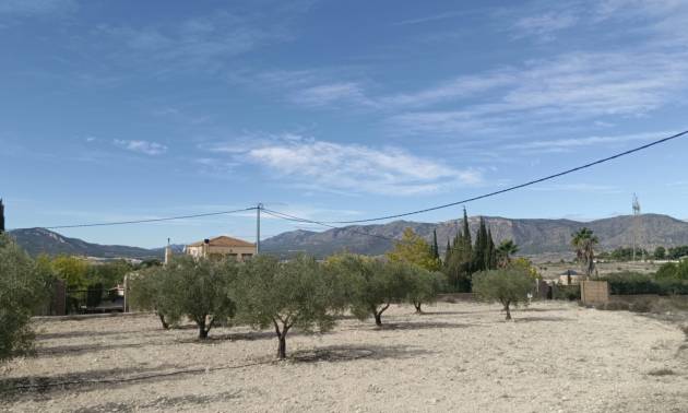 Revente - Land - Salinas