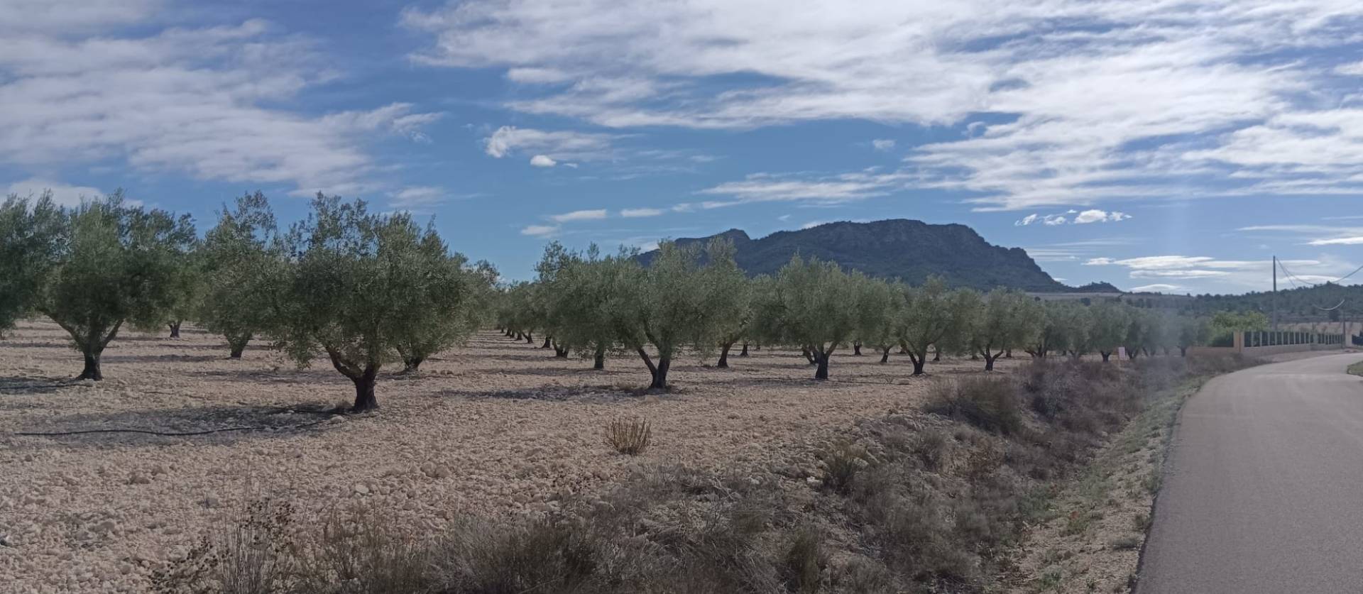 Revente - Land - Salinas