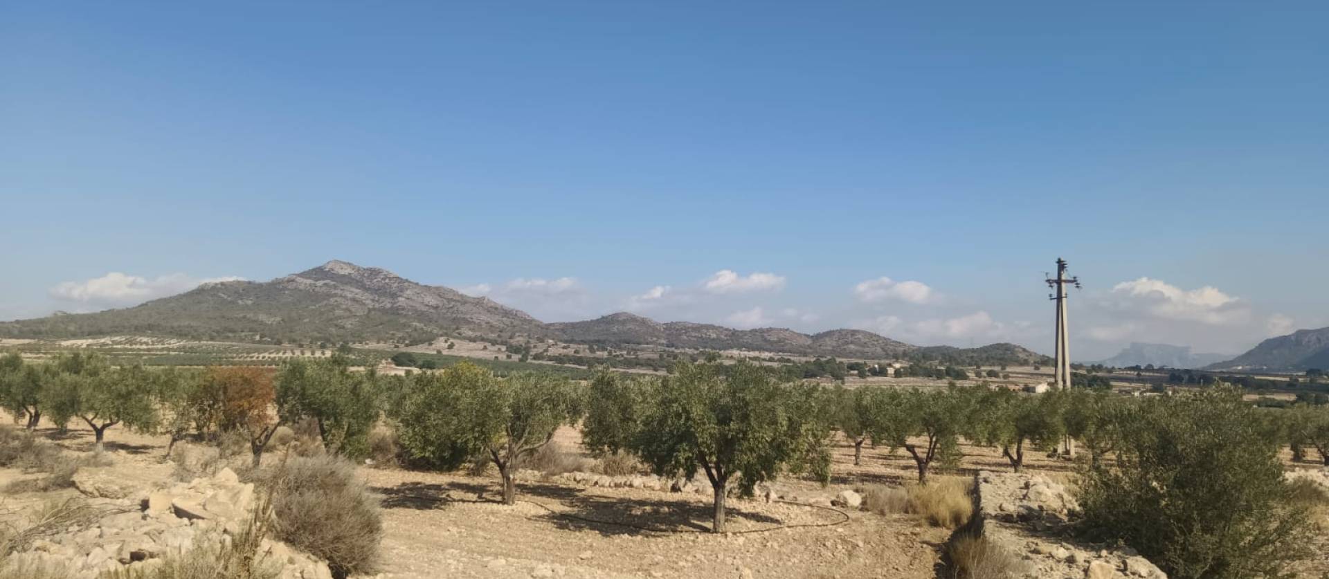 Sale - Land - Salinas