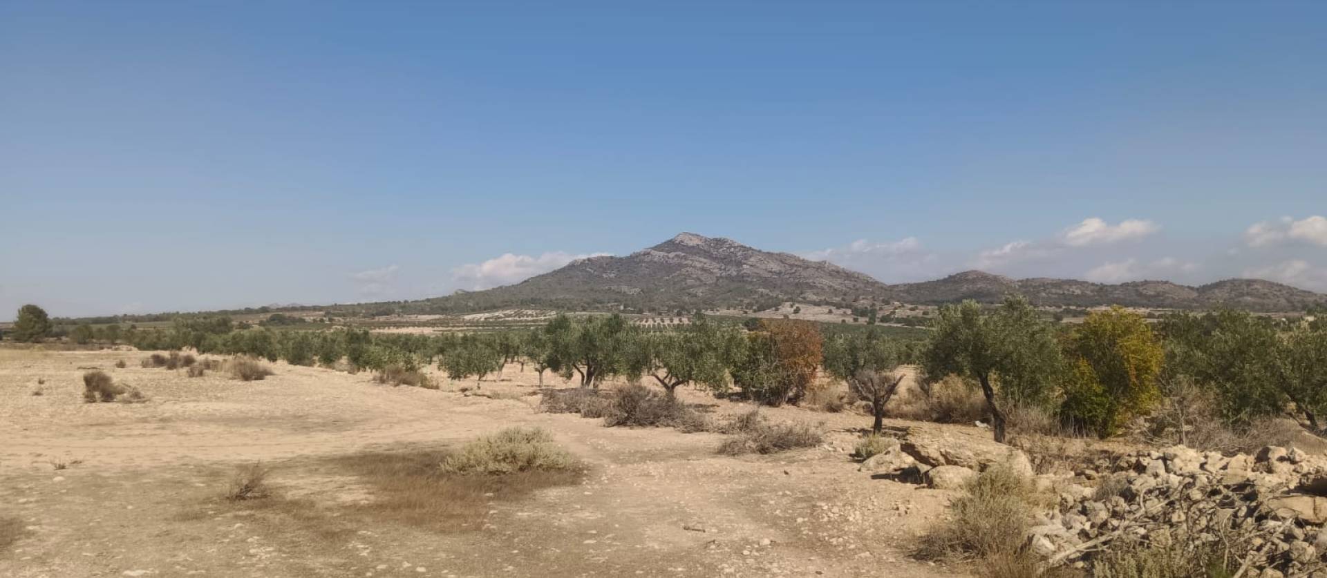 Sale - Land - Salinas