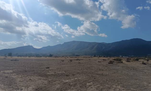 Sale - Land - Salinas