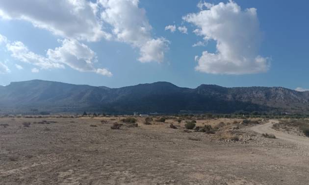 Sale - Land - Salinas