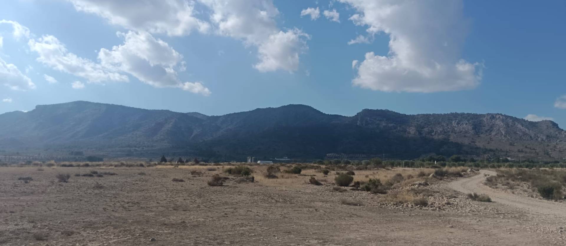 Sale - Land - Salinas