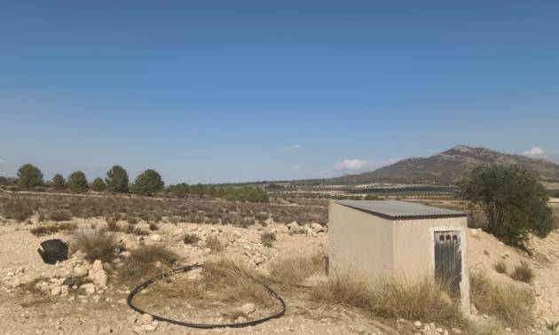 Sale - Land - Salinas