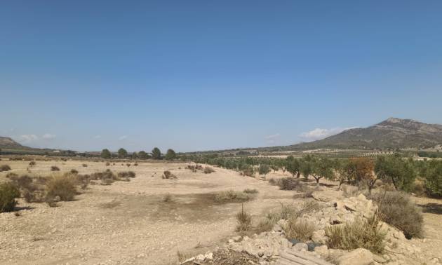 Sale - Land - Salinas