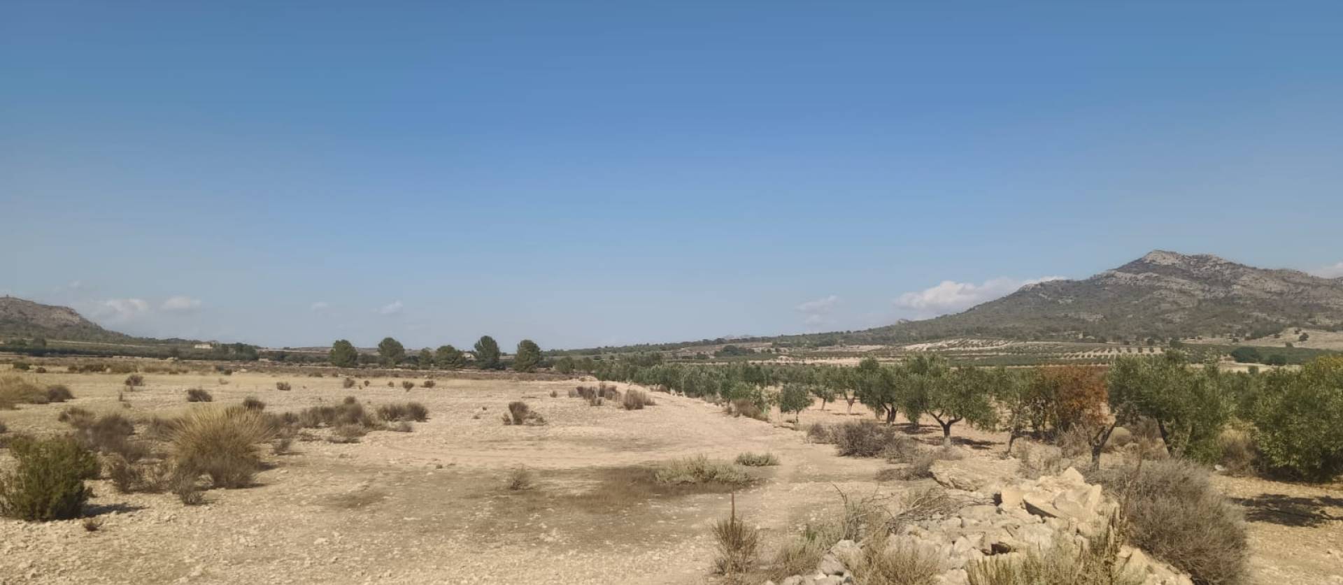 Sale - Land - Salinas