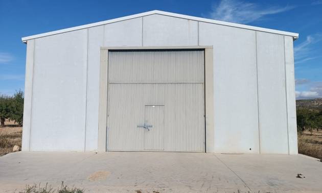 Revente - Land - Yecla