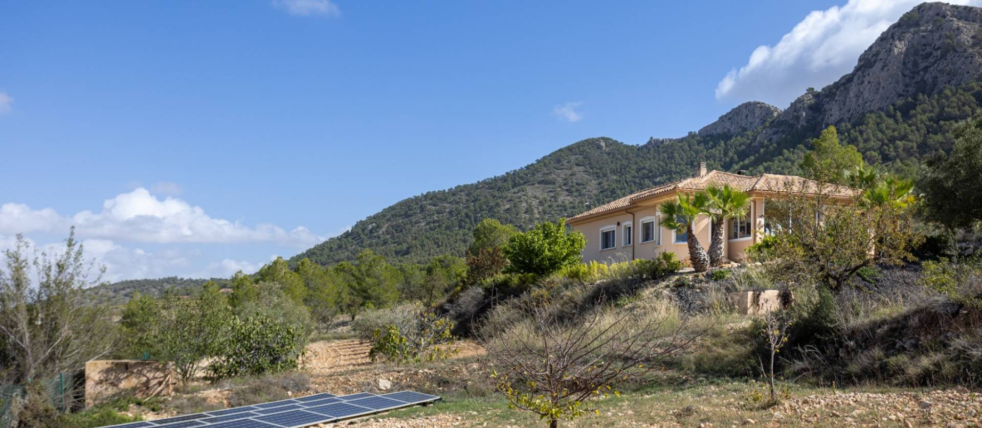 Venta -  - La Zarza - La Zarza Murcia