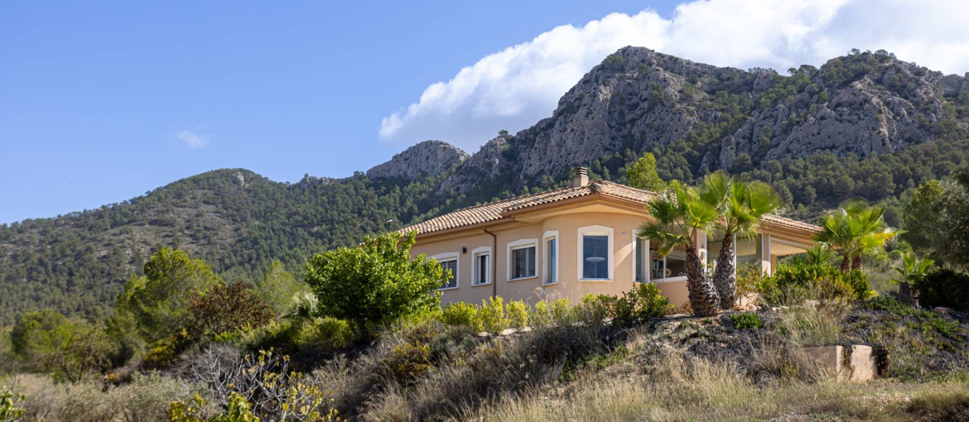 Venta -  - La Zarza - La Zarza Murcia