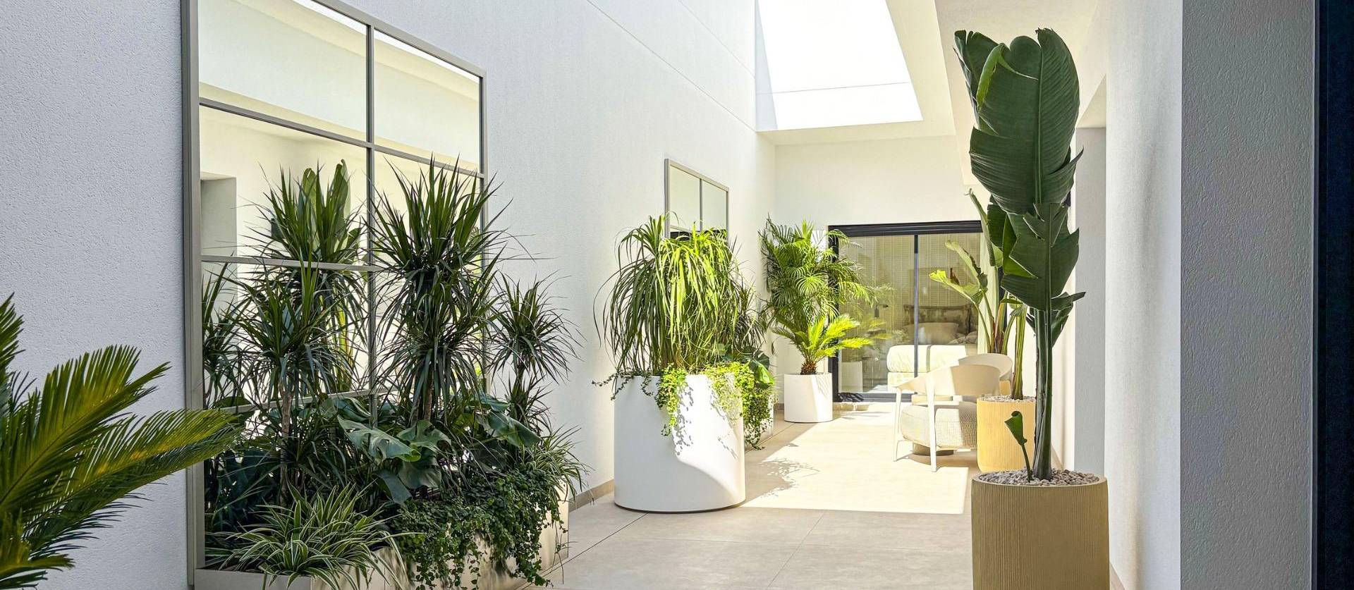 Nueva construcción  - Villa - Rojales - Ciudad Quesada