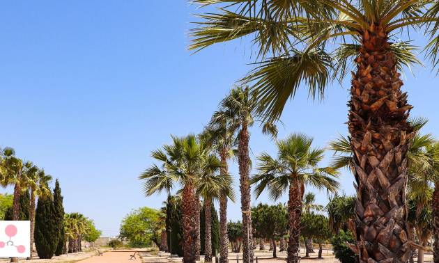 Nueva construcción  - Villa - San Fulgencio - La Escuera