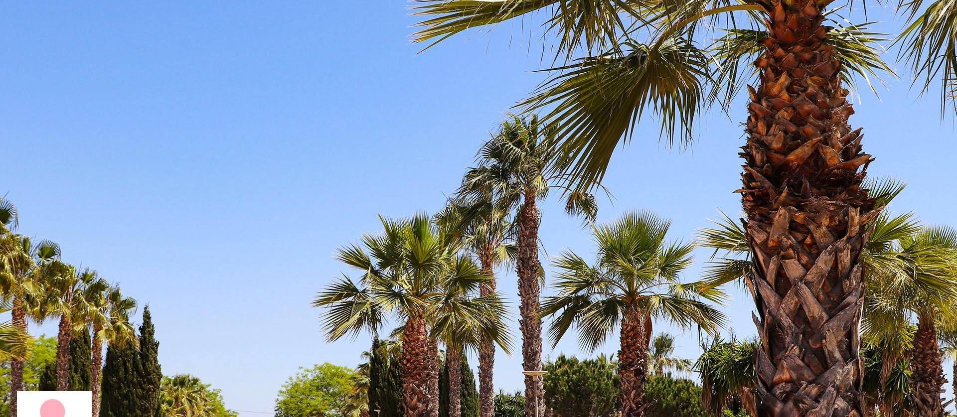 Nueva construcción  - Villa - San Fulgencio - La Escuera