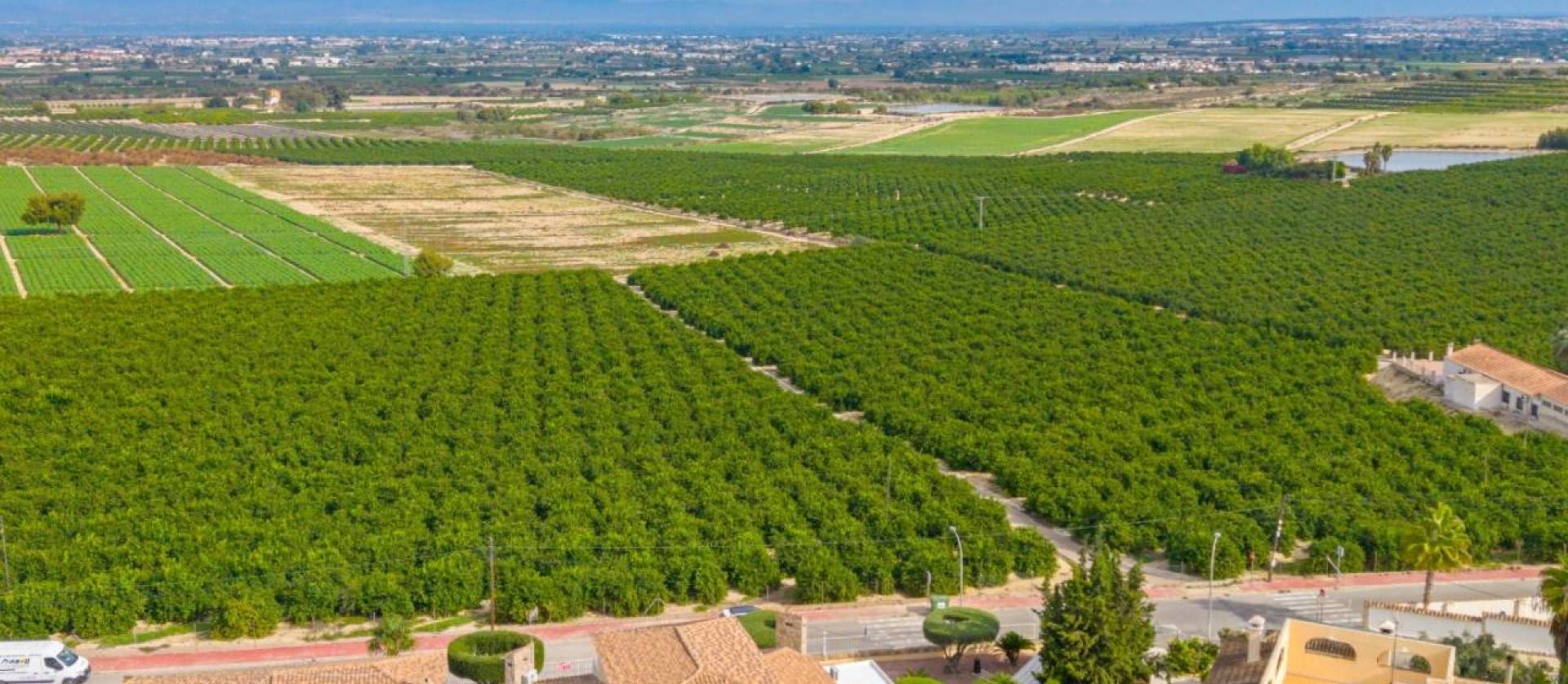 Venta - Villa - Algorfa - Castillo De Montemar