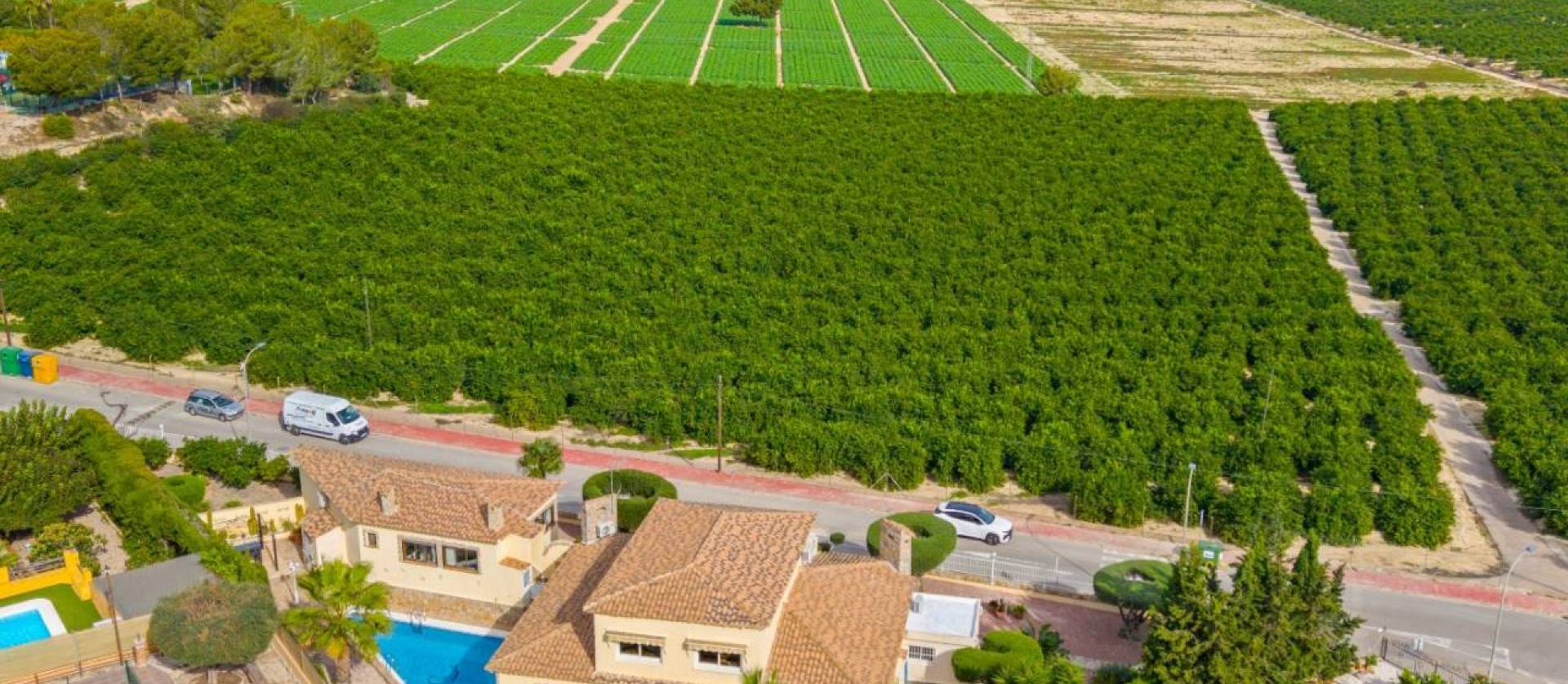 Venta - Villa - Algorfa - Castillo De Montemar