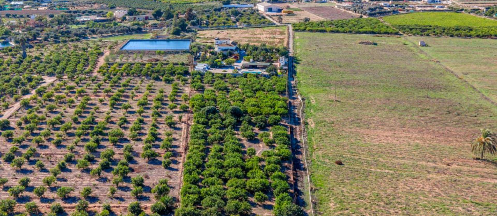 Revente - Country House - Los Montesinos