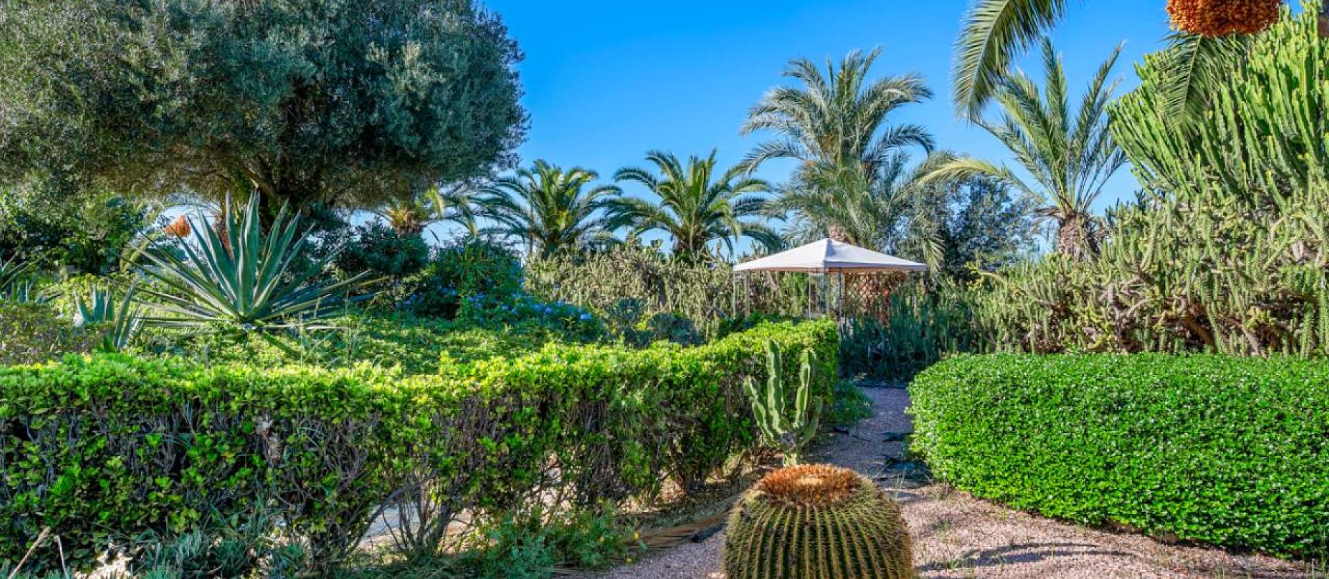 Revente - Country House - Los Montesinos