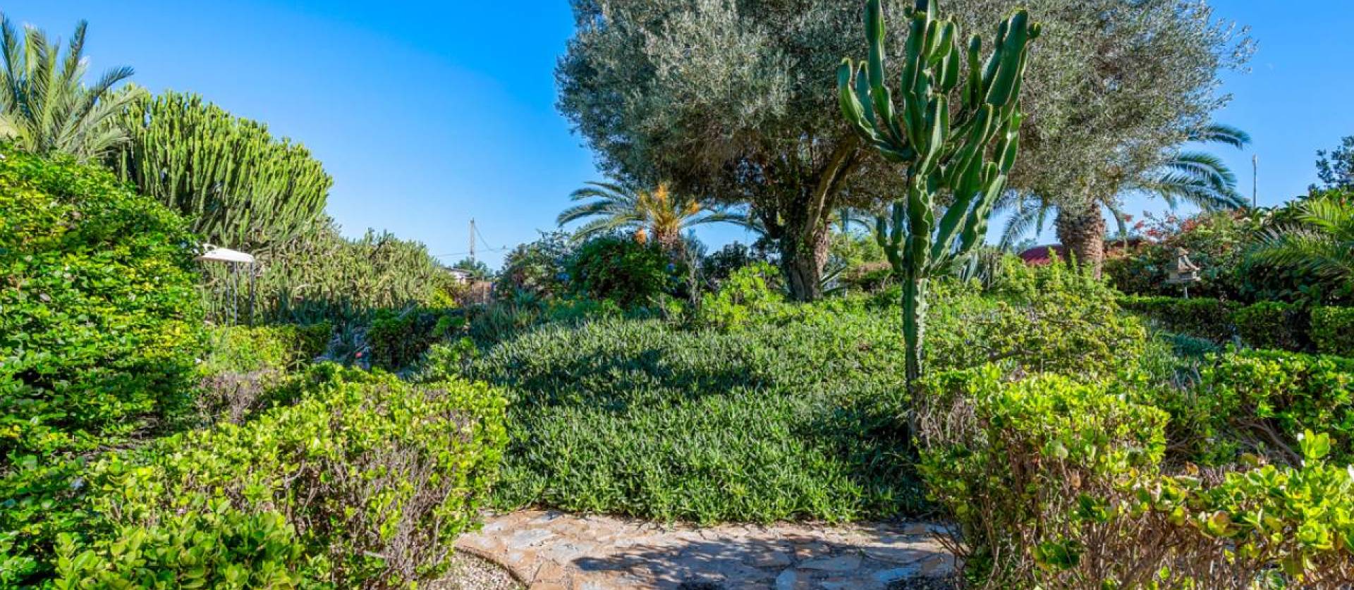 Revente - Country House - Los Montesinos